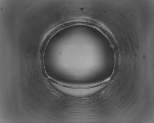 X0000078291360200611031221