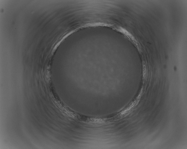 X0000078291361200611031221