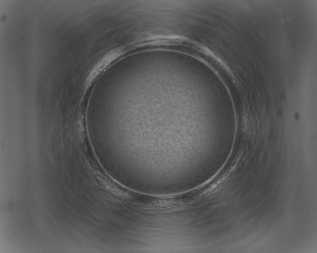 X0000078291362200611031221