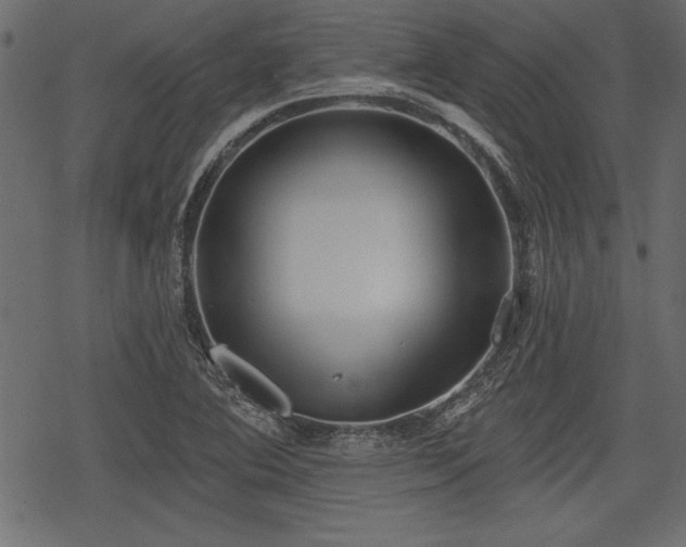 X0000078291364200611031221