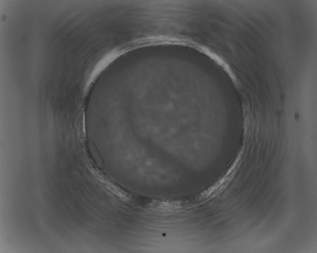 X0000078291365200611031221