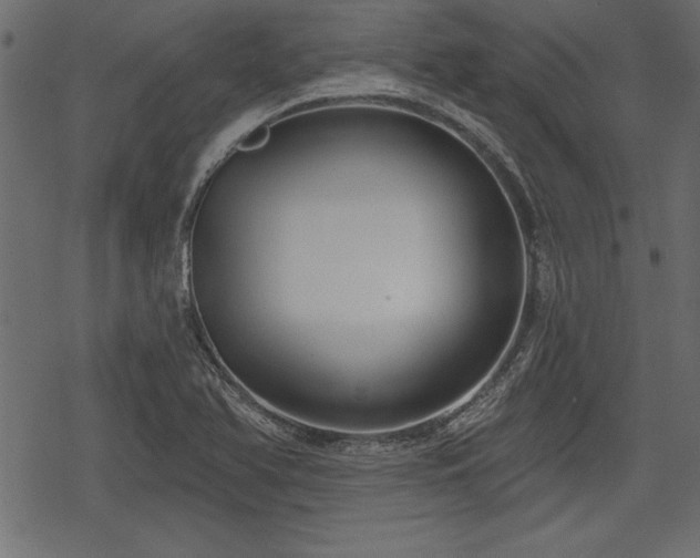 X0000078291366200611031221