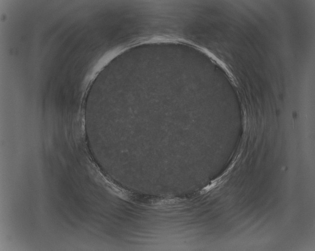 X0000078291367200611031221