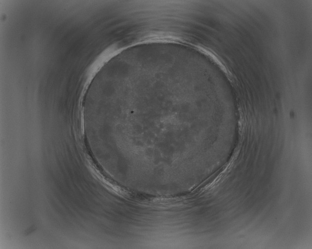 X0000078291371200611031221