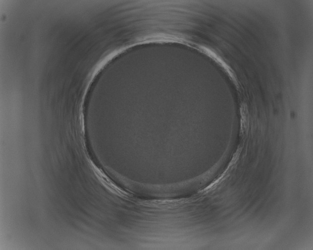 X0000078291372200611031221