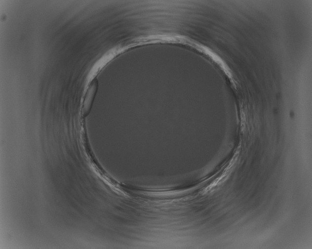 X0000078291373200611031221