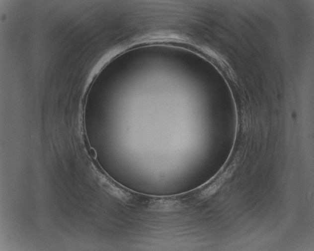 X0000078291374200611031221