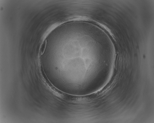 X0000078291375200611031221