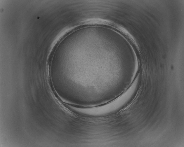 X0000078291376200611031221