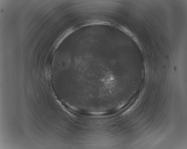 X0000078291377200611031221