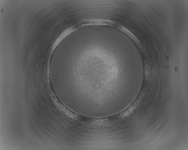 X0000078291378200611031221