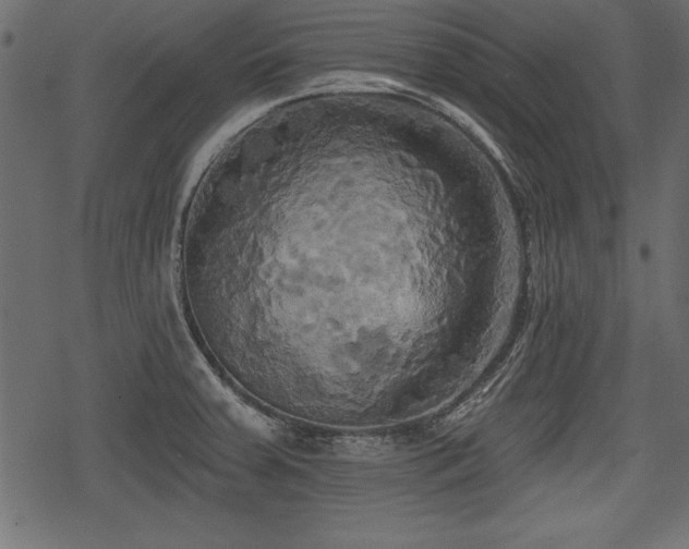 X0000078291379200611031221