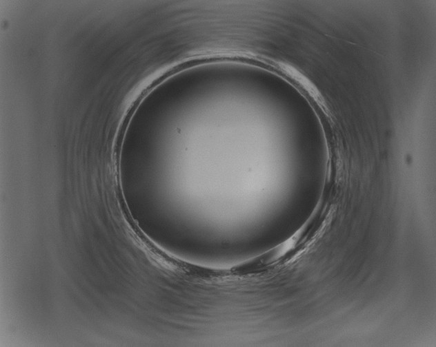 X0000078291380200611031221