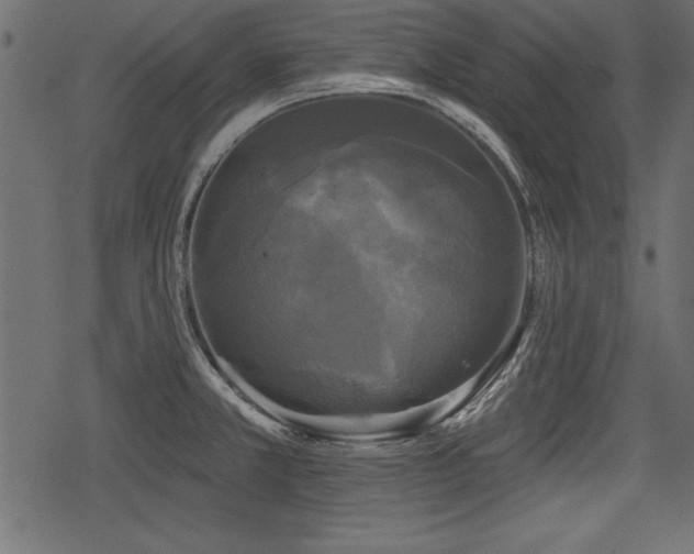 X0000078291381200611031221