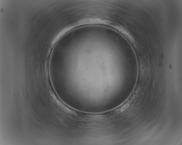 X0000078291382200611031221