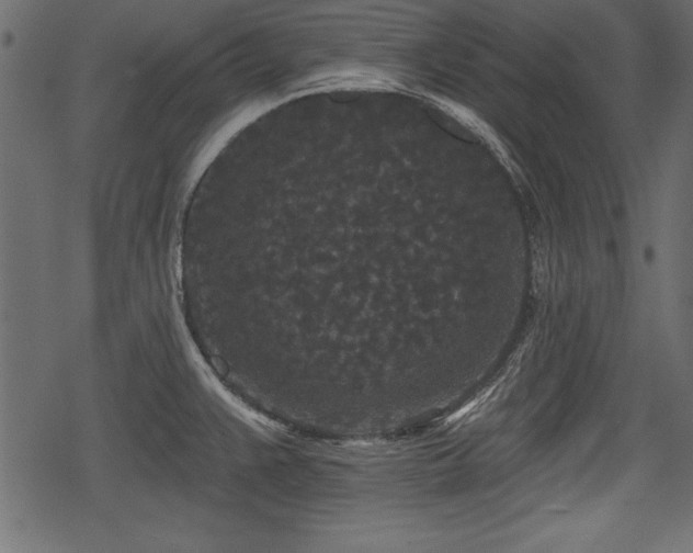 X0000078291383200611031221