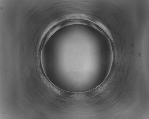 X0000078291384200611031221