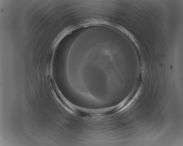 X0000078291385200611031221