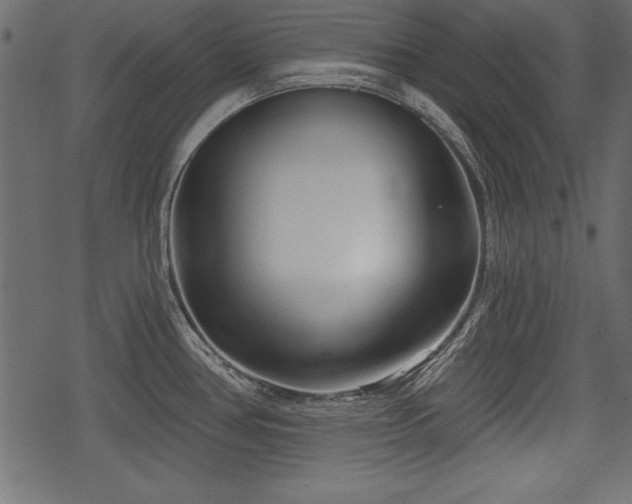 X0000078291386200611031221