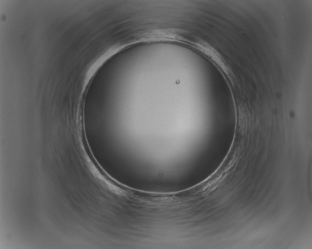 X0000078291387200611031221