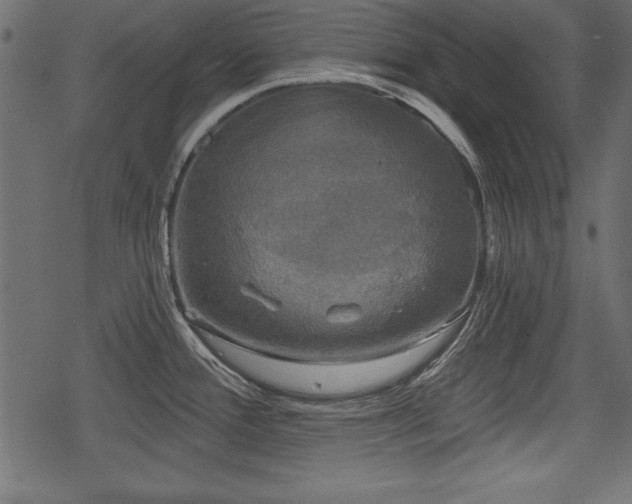 X0000078291388200611031221