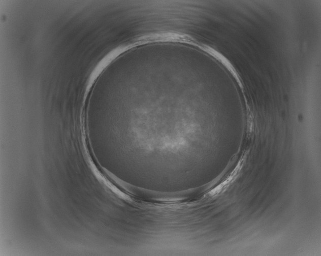 X0000078291389200611031221