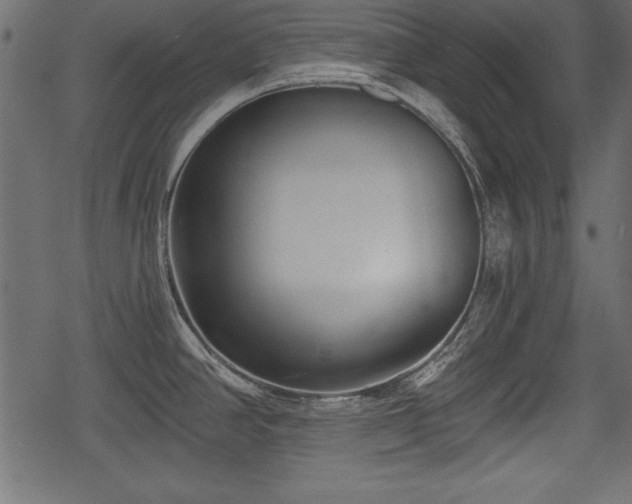 X0000078291390200611031220