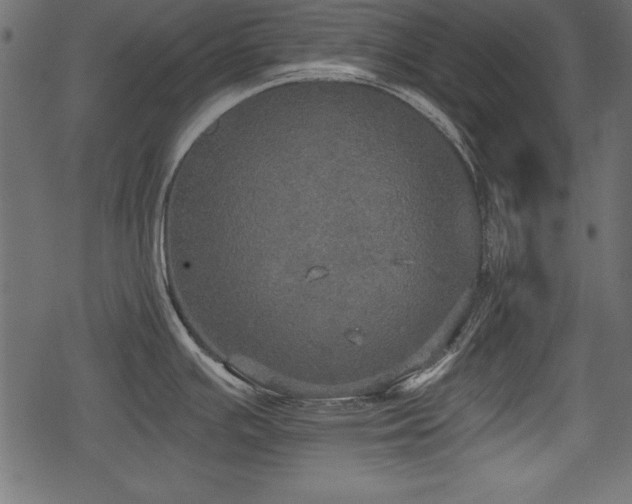 X0000078291391200611031220