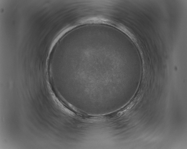 X0000078291392200611031220