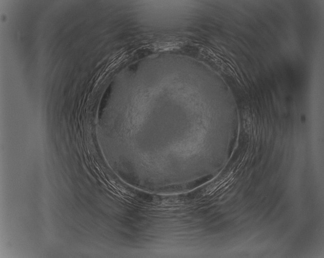 X0000078291393200611031220