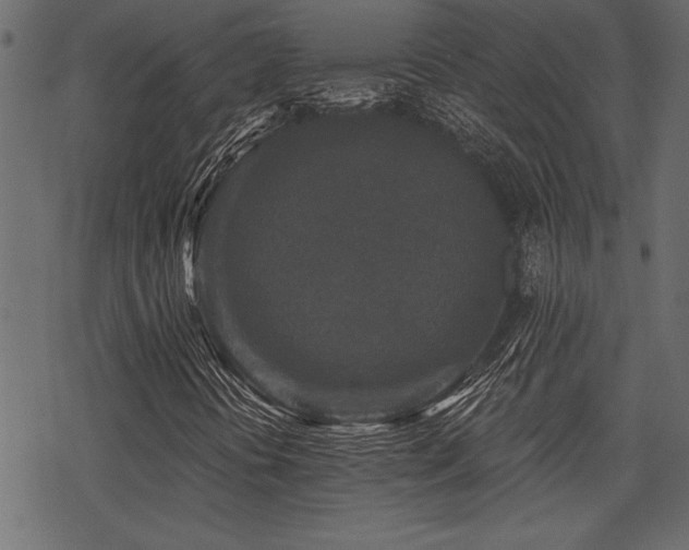 X0000078291394200611031220