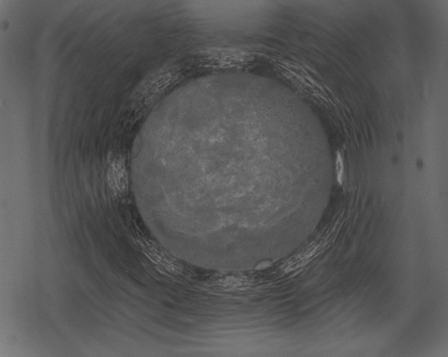 X0000078291395200611031220