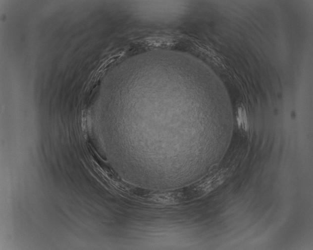 X0000078291396200611031220