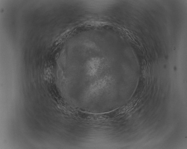 X0000078291397200611031220