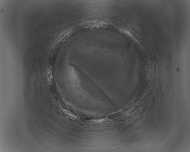 X0000078291399200611031220