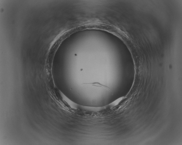 X0000078291400200611031220