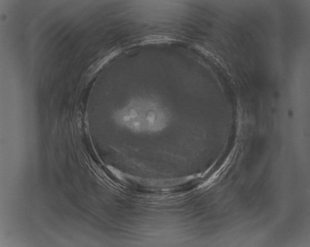 X0000078291401200611031220