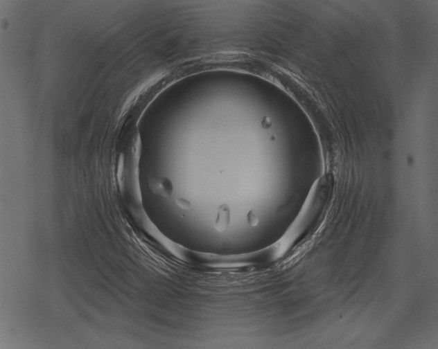 X0000078291402200611031220