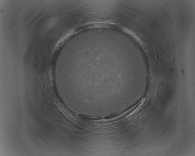 X0000078291403200611031220