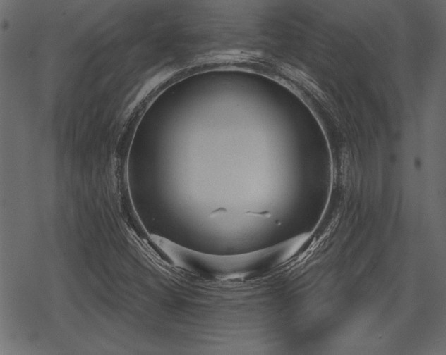 X0000078291404200611031220