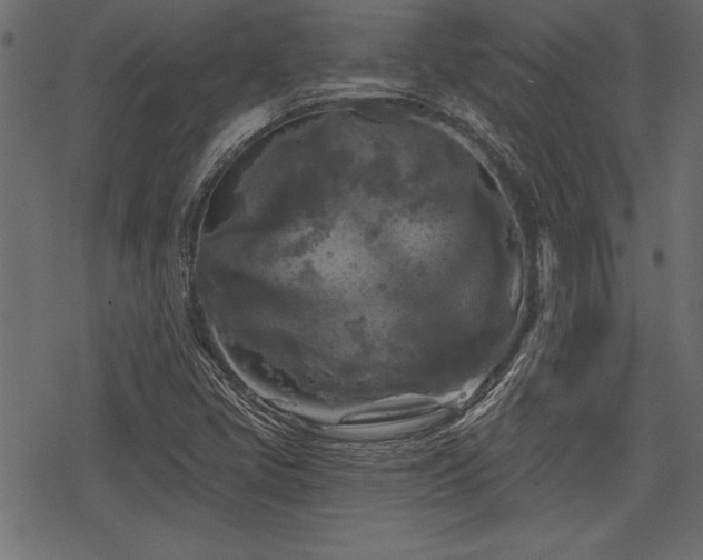 X0000078291405200611031220