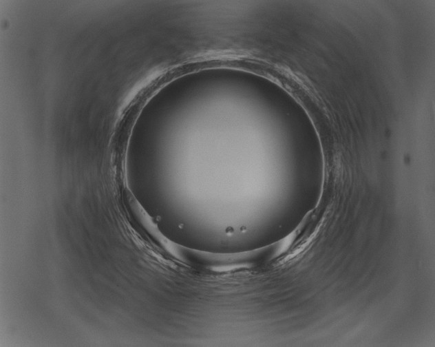 X0000078291406200611031220