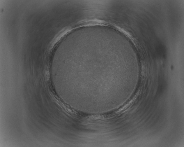 X0000078291407200611031220