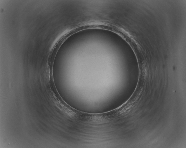 X0000078291408200611031220