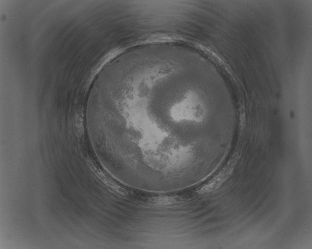 X0000078291409200611031220