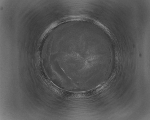 X0000078291411200611031220