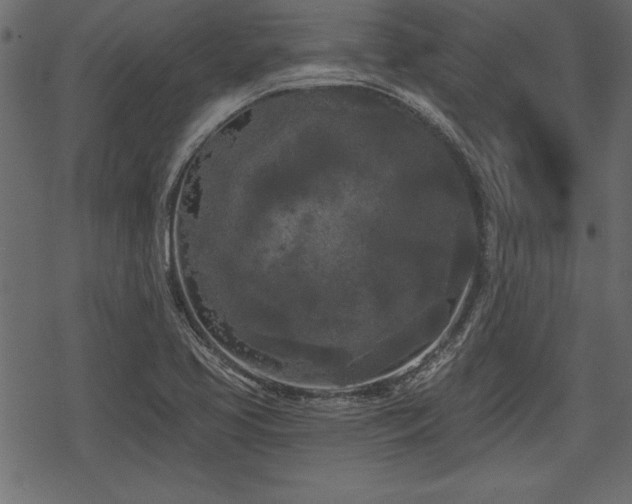 X0000078291413200611031220