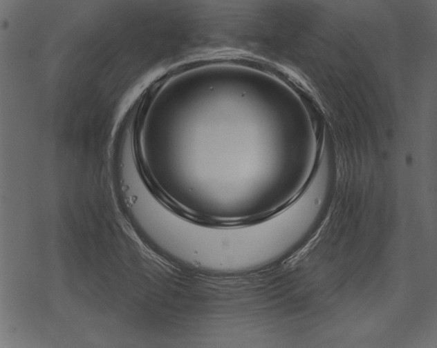 X0000078291414200611031220