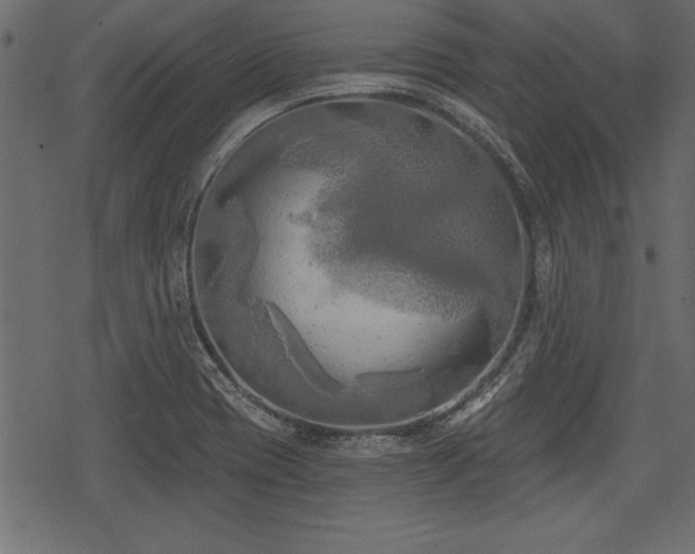 X0000078291417200611031220