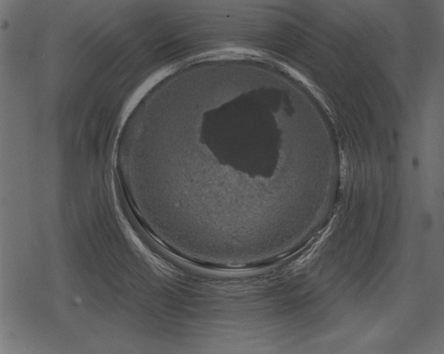 X0000078291418200611031220